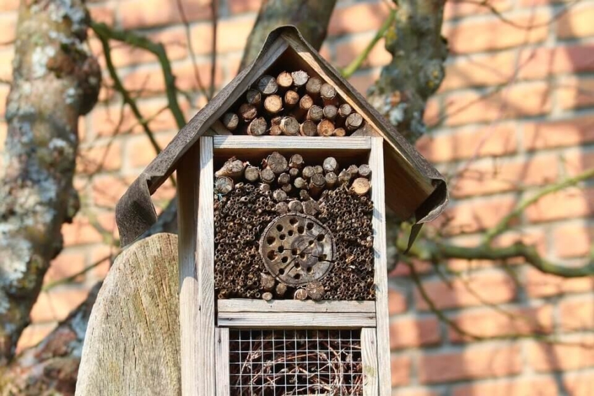 Ein Insektenhotel selber bauen