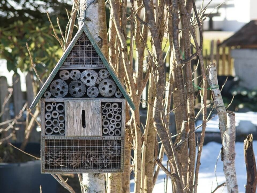 Das Insektenhotel einfach kaufen