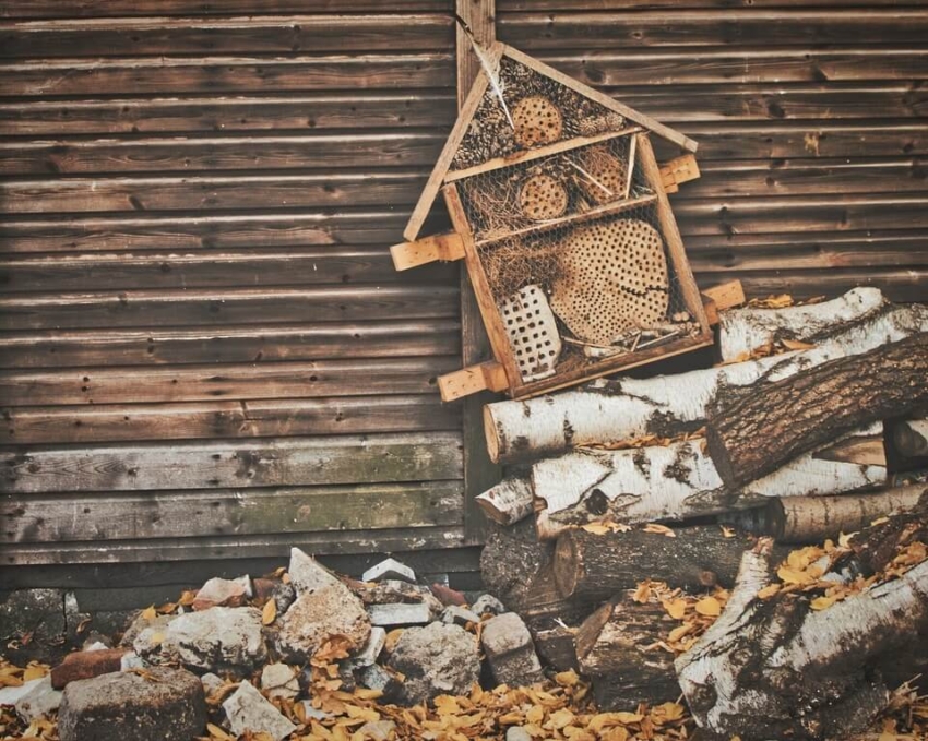 Der große Insektenhotel Test