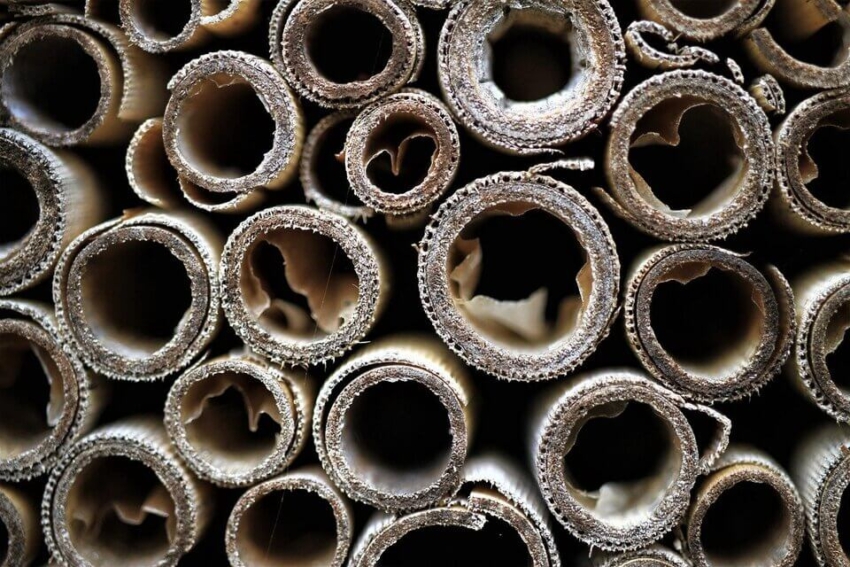 Der Test verschiedener Insektenhotels