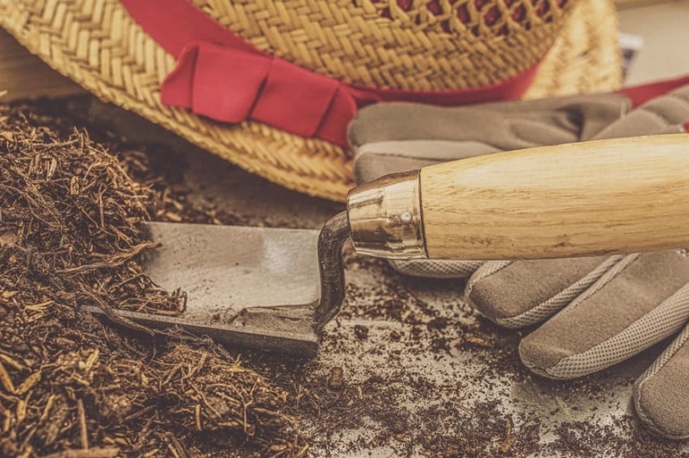 blumenerde welche ist die beste